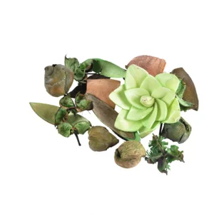 Pot-pourri parfum pomme 110 g Homea