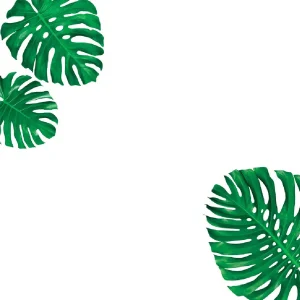 Sticker de vitre électrostatique Feuilles de Monsteras sur une planche L 60 x l 40 cm