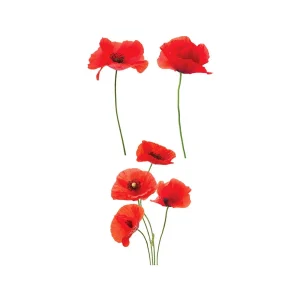 Sticker de vitre électrostatique Coquelicots sur une planche L 60 x l 40 cm